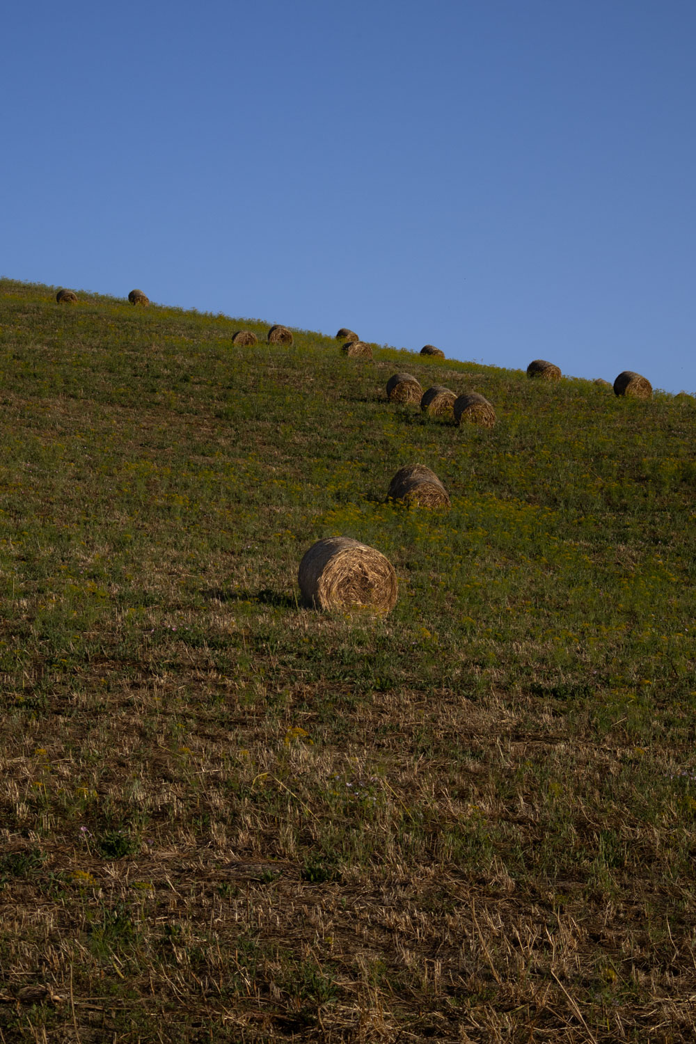 Milan Rome Etna Catania Florence Bologna