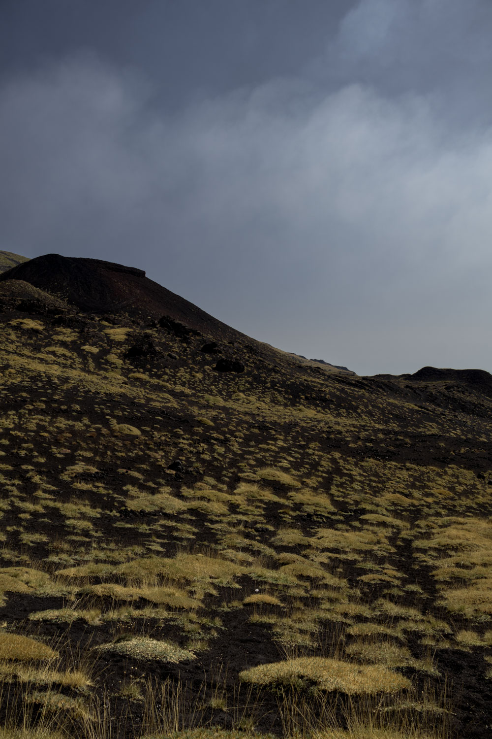 Milan Rome Etna Catania Florence Bologna